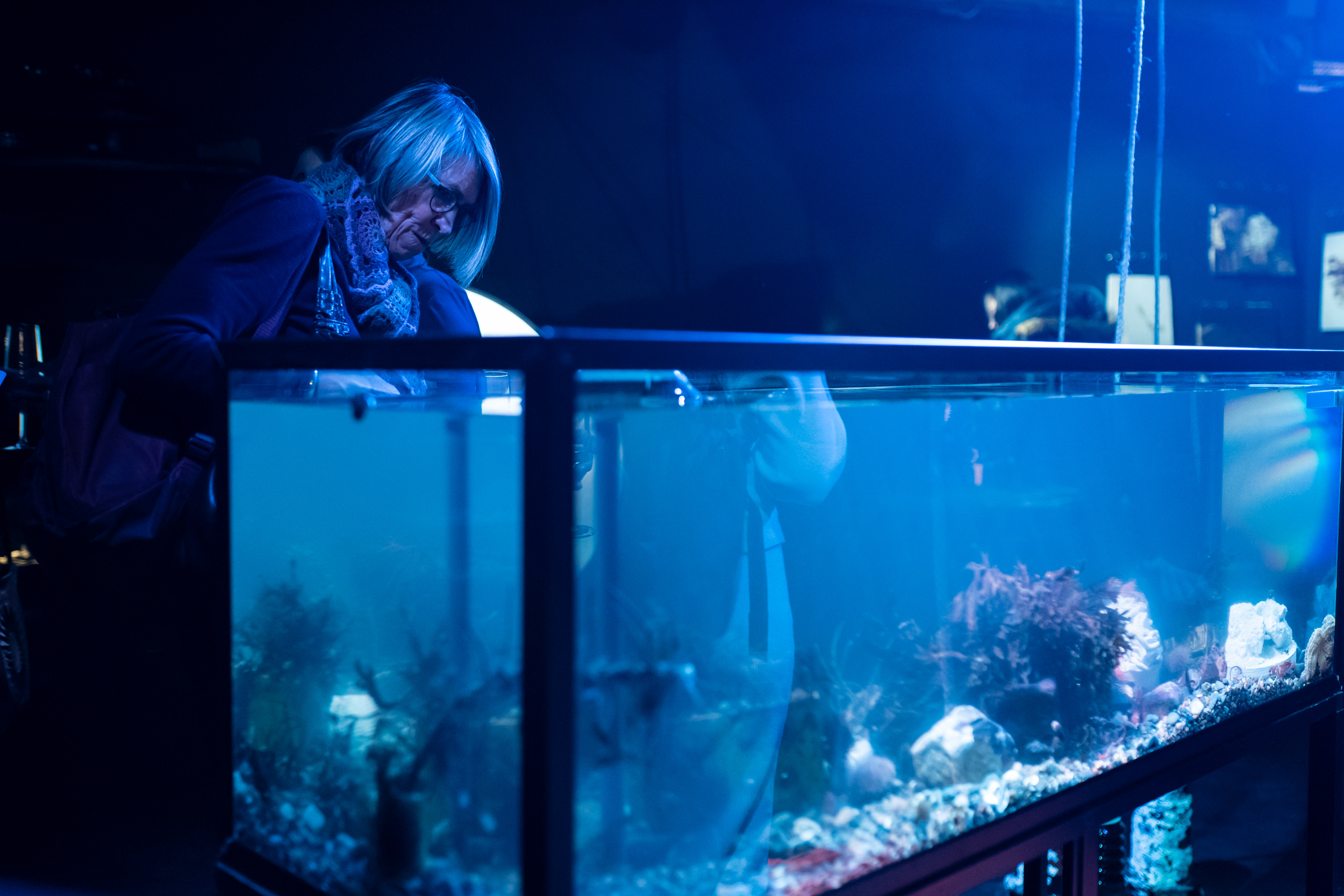 Linjeyy - Sexy Media Girls on leaks.im